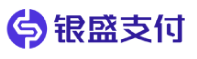 银盛支付